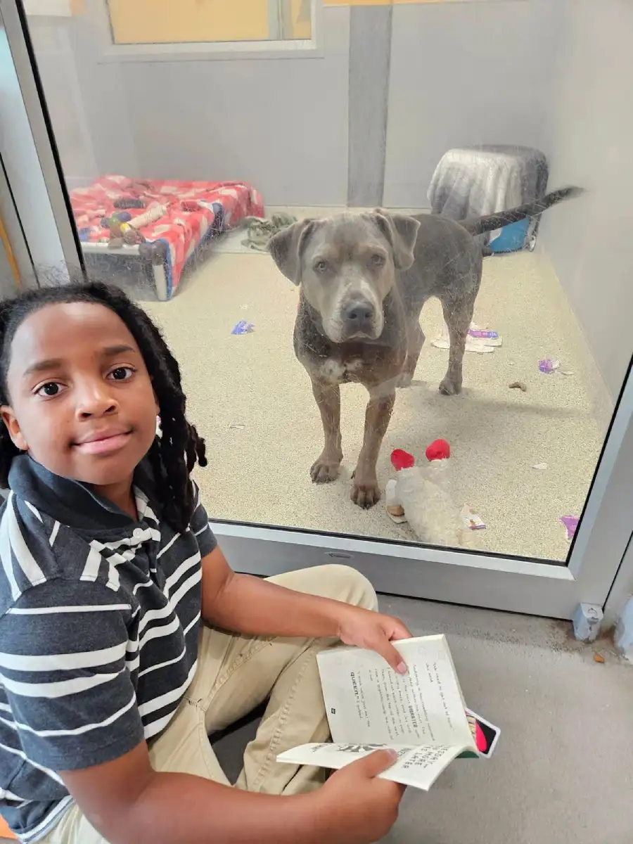 boy reads to dogs 100 hours