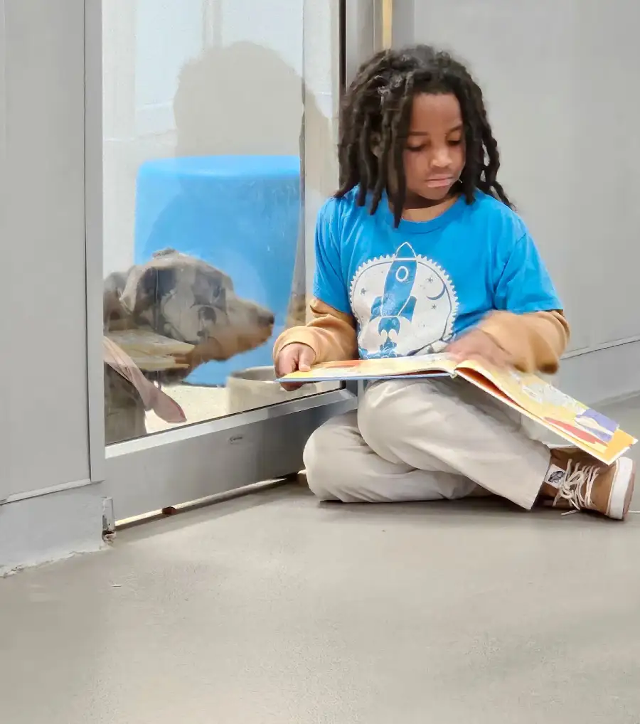boy reads to dogs 100 hours