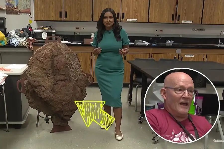 T-Rex discovery teacher