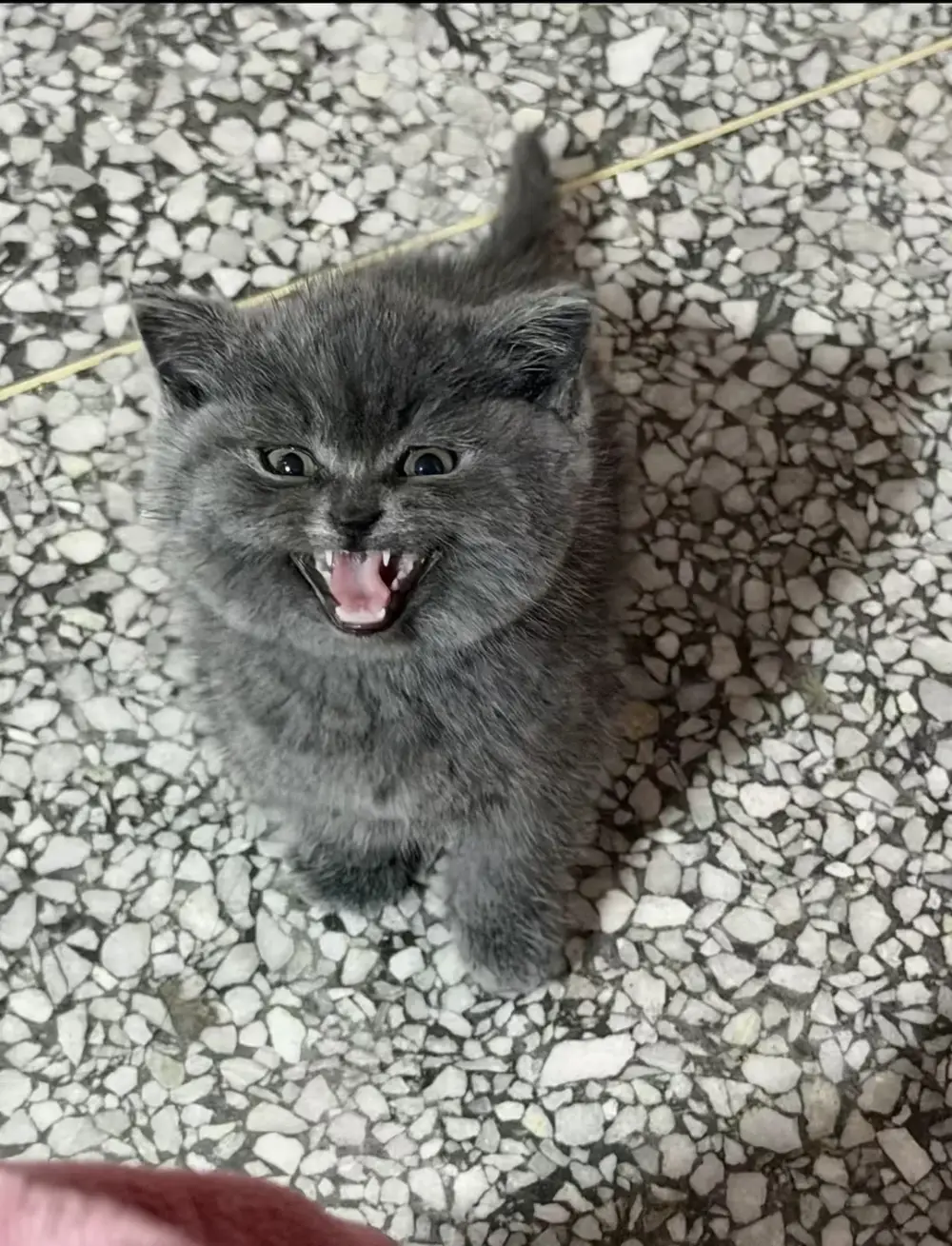 happy pictures