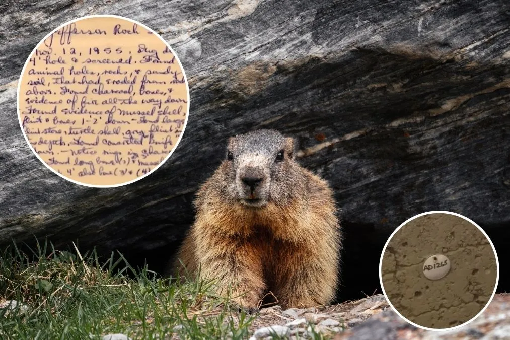 groundhog discovers ancient humanity