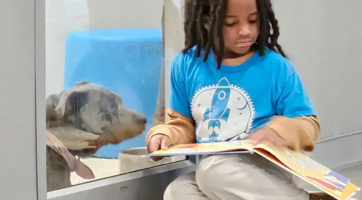 11-Year-Old Becomes First Child to Read 100 Volunteer Hours to Shelter Pets
