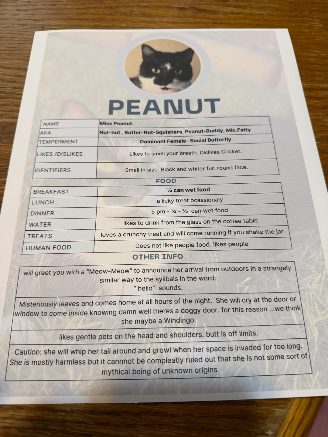 funny cat information sheets