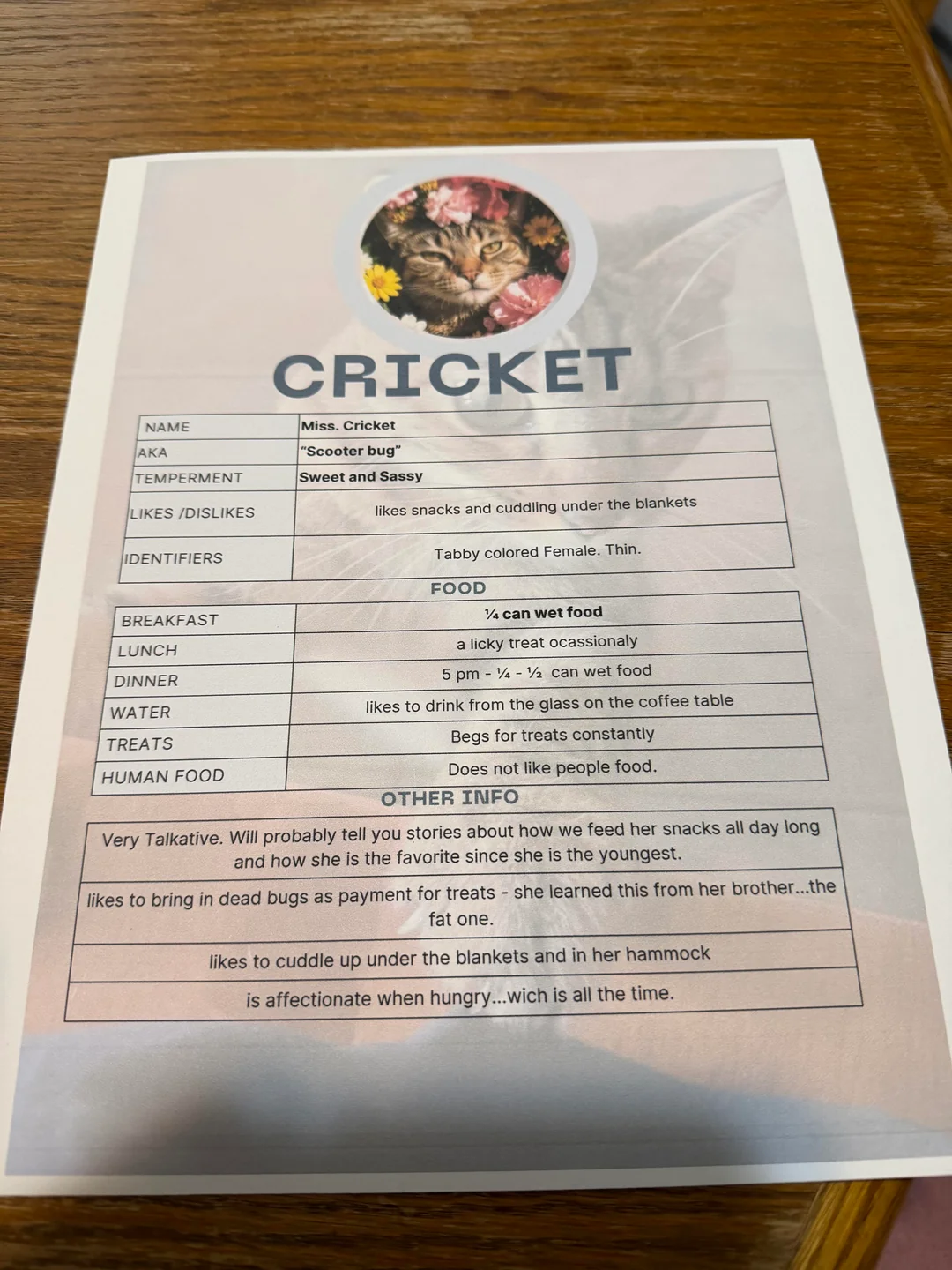 funny cat information sheets 
