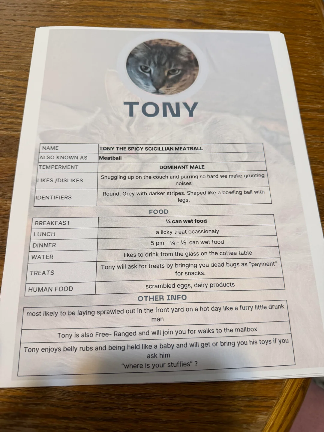 funny cat information sheets