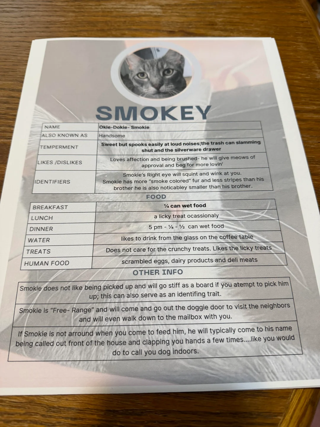 funny cat information sheets