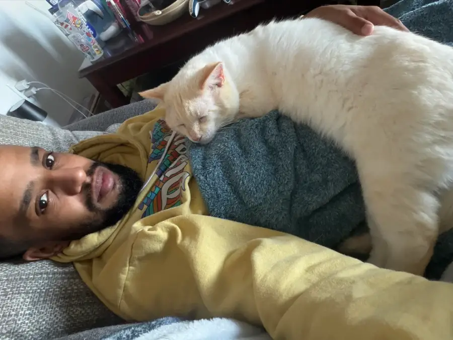 cat rescue love story