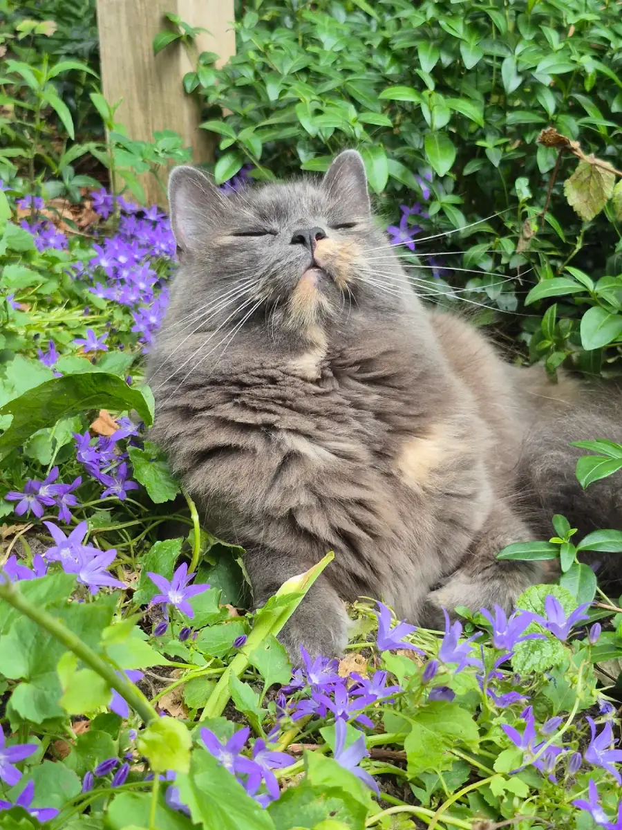 happy pictures