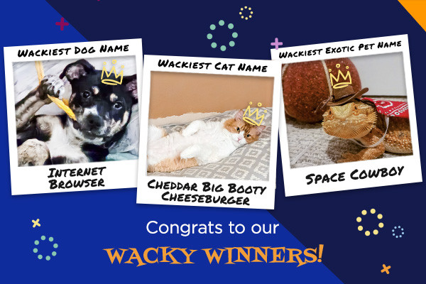 wacky pet names winners