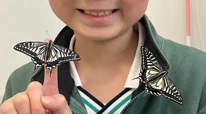 happy videos