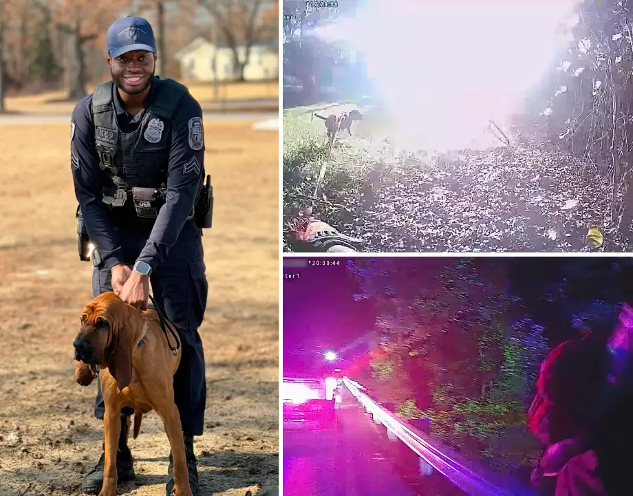 bloodhound finds missing boy