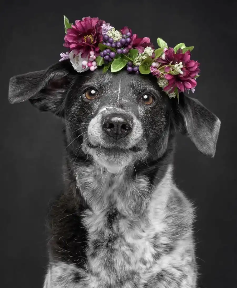 happy pictures
