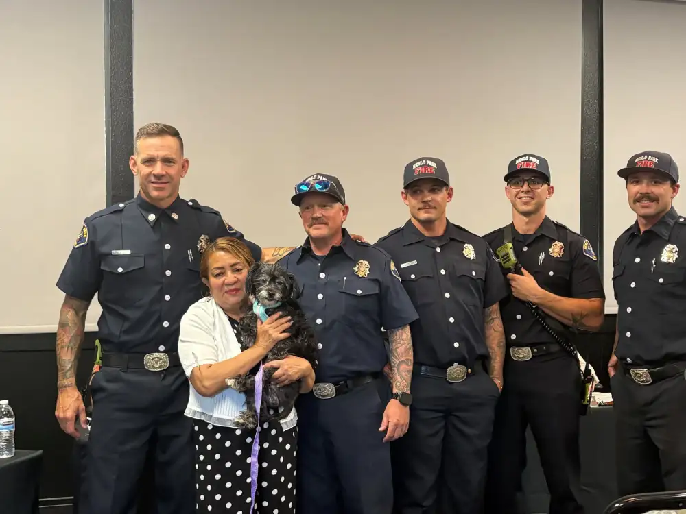 firefighters rescue lost dog swimming bay