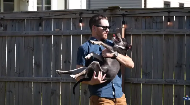 and#039;It Was Destinyand#039;: Garbage Truck Crew Saves Dog From Trash Can, Then Adopts Him