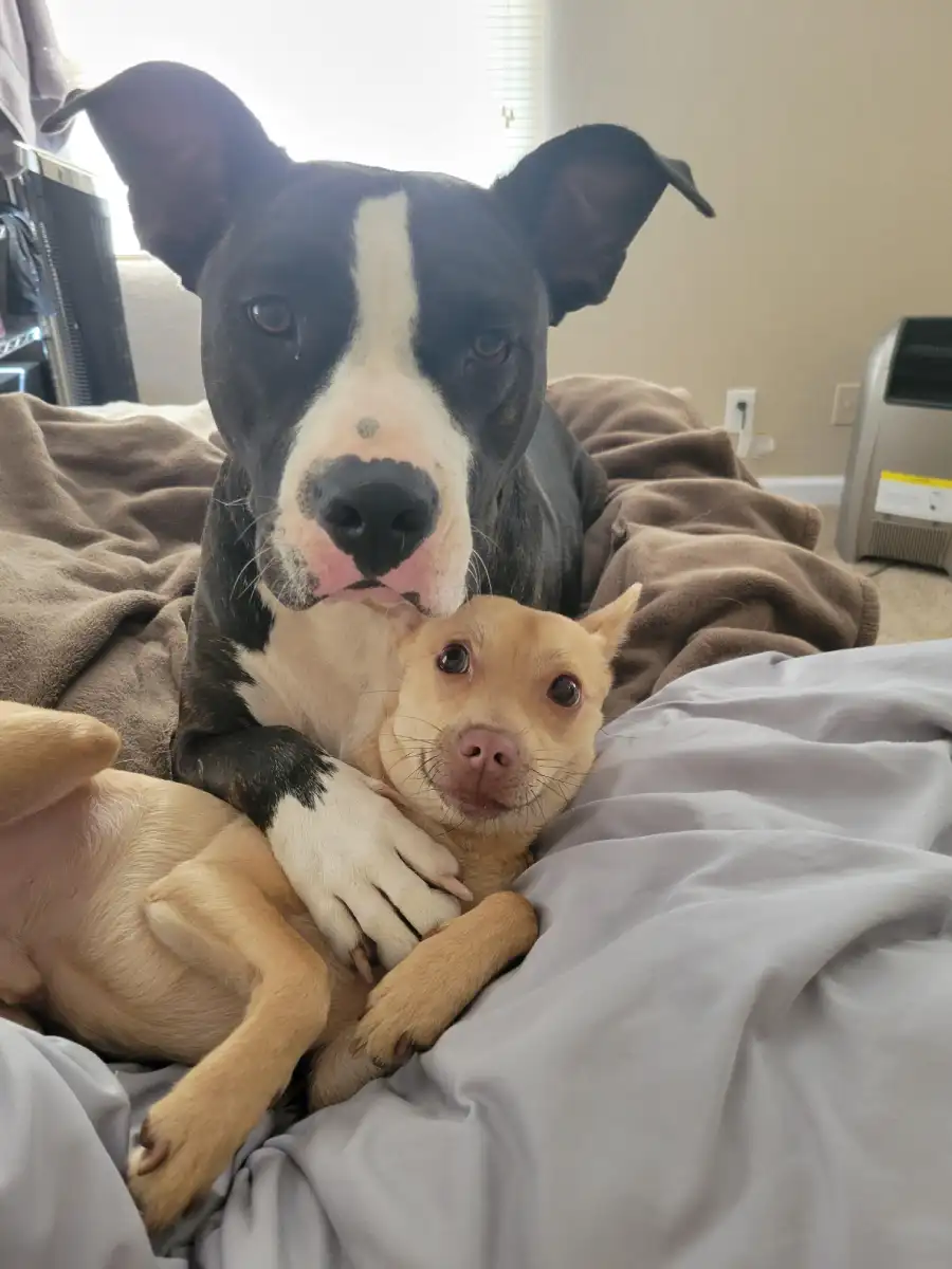 happy pictures