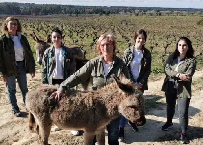 donkey firefighters