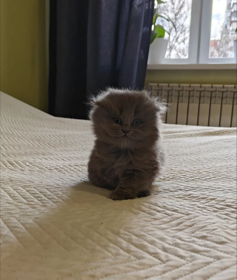 happy pictures