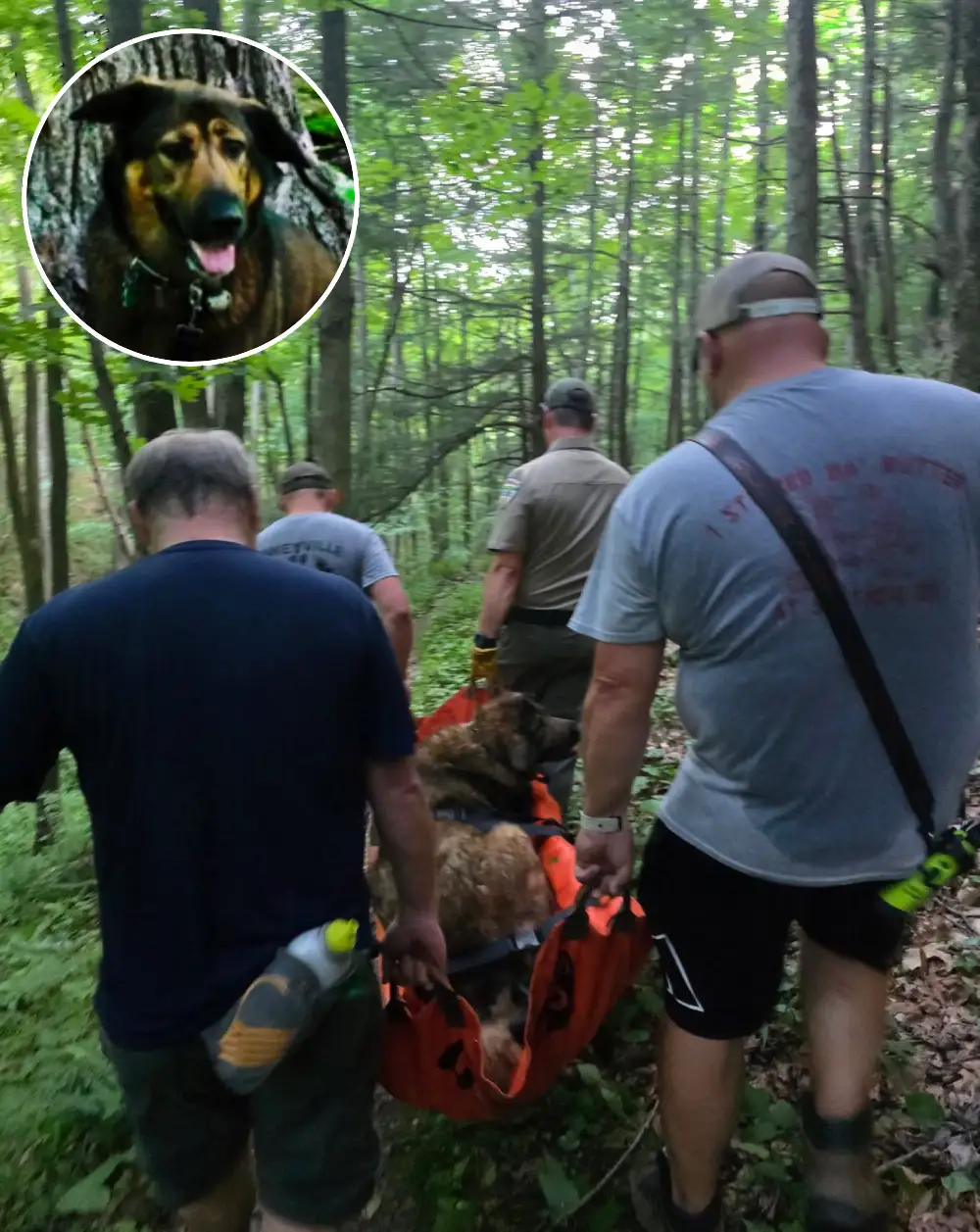 firefighters carry dog 4 hours