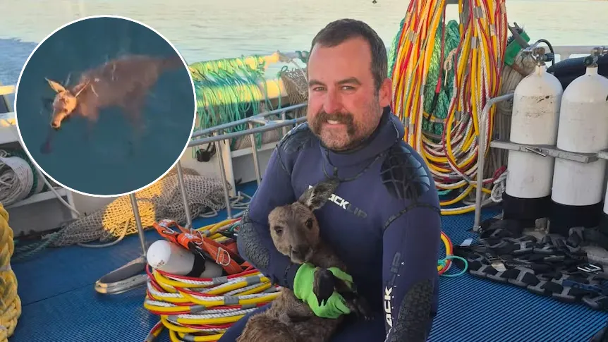 fishing crew rescues kangaroo