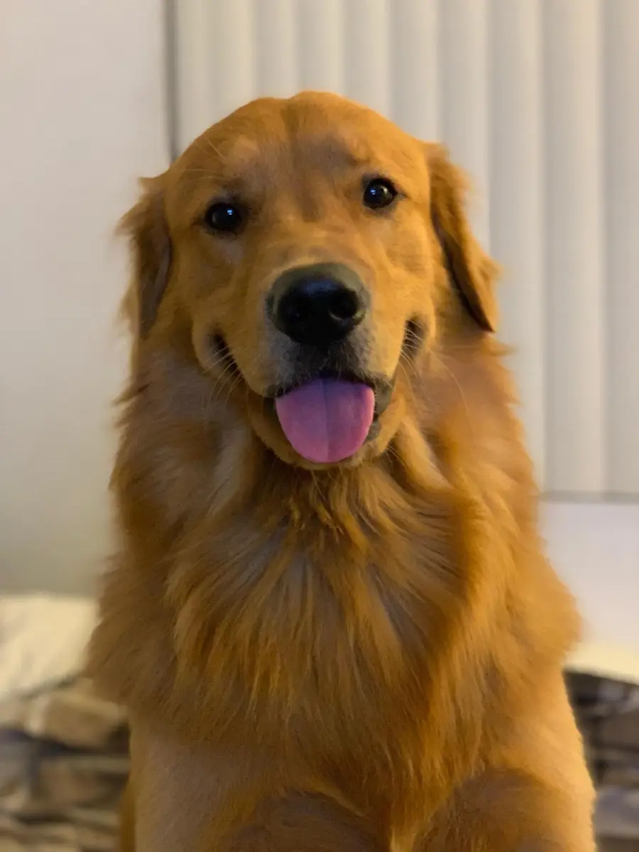 happy pictures