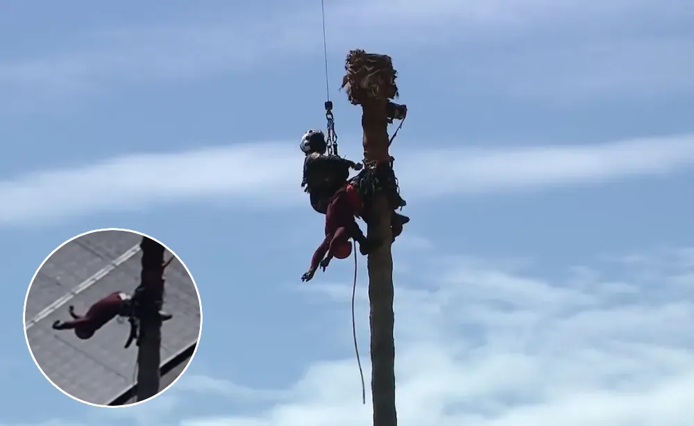 helicopter crew saves man tree chainsaw