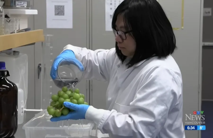 how to make fruit last longer