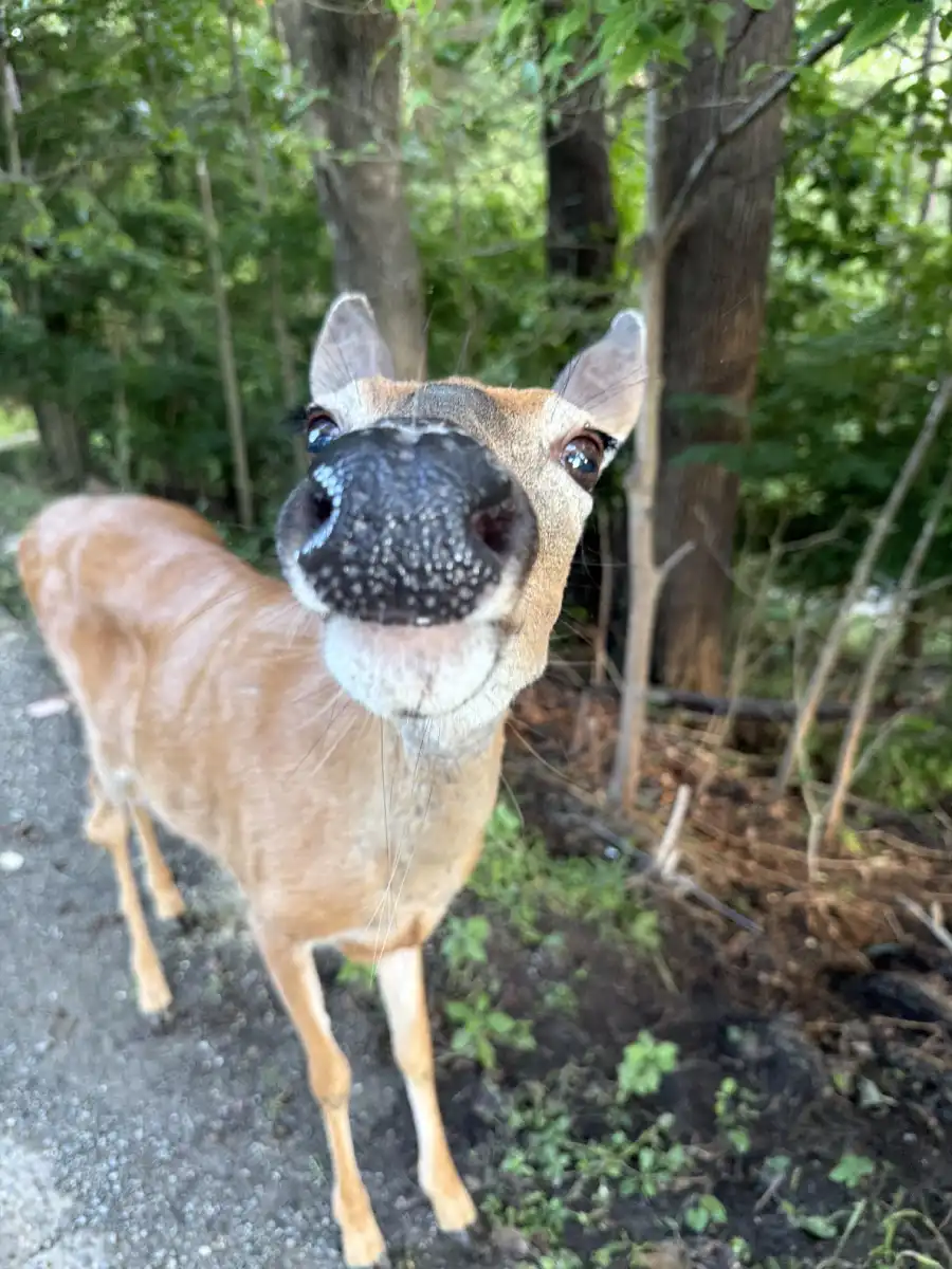 happy pictures