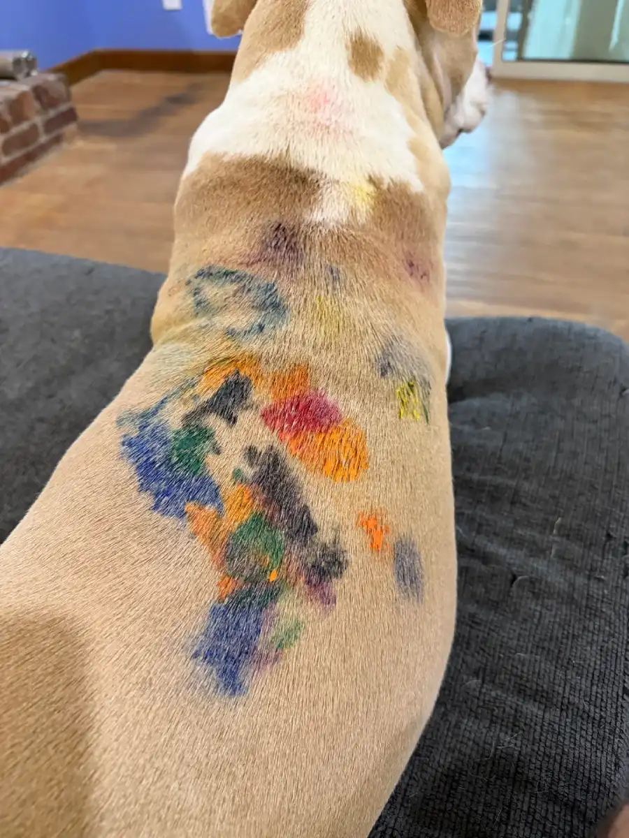 dog crayons