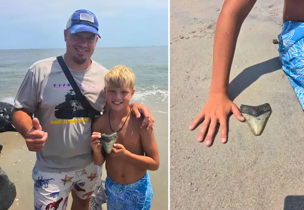 Megladon tooth found beach NJ