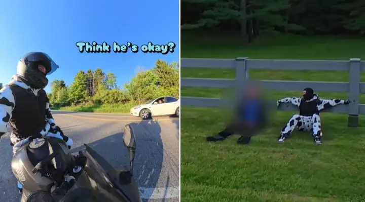 happy videos