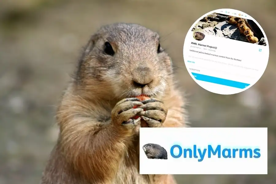 onlymarms