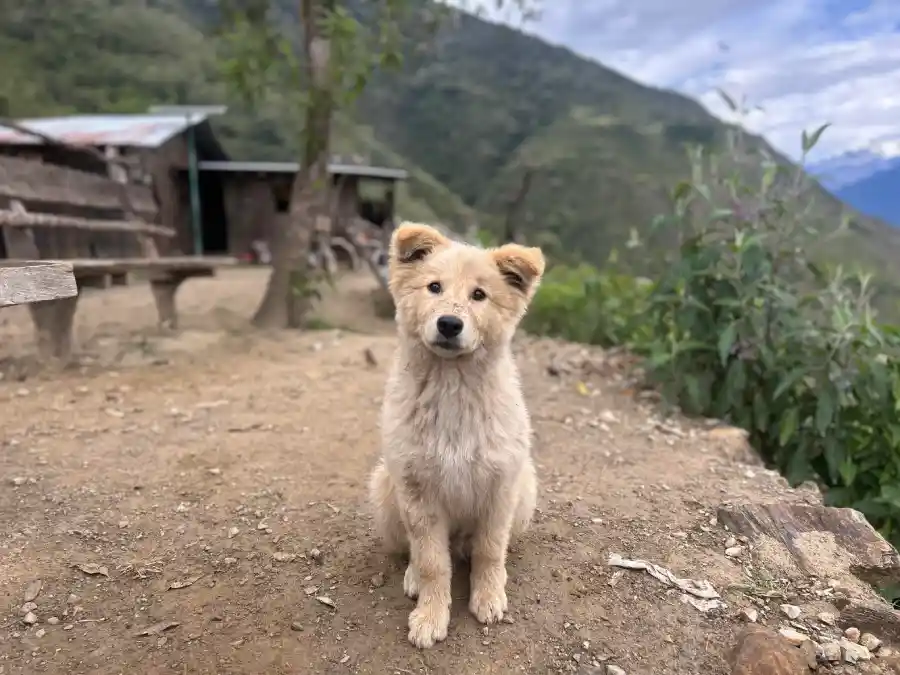 happy pictures