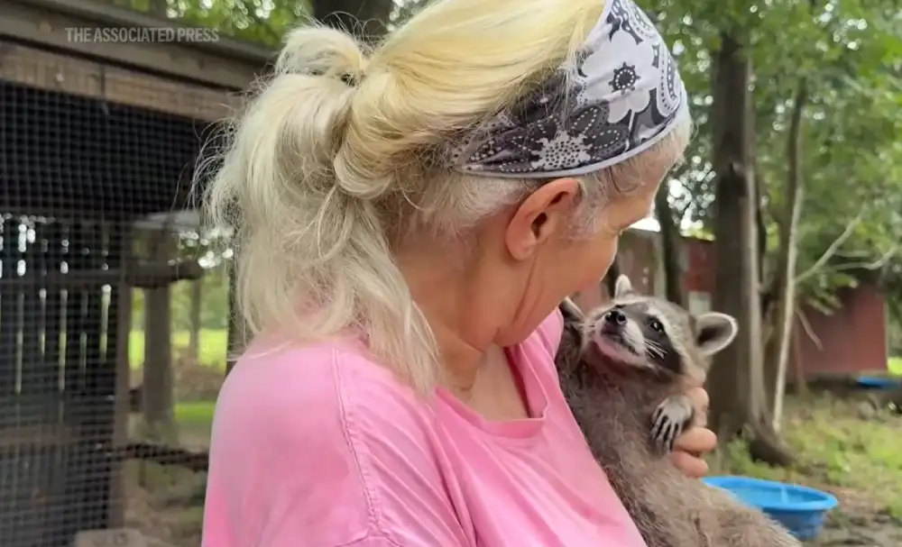 raccoon boot camp