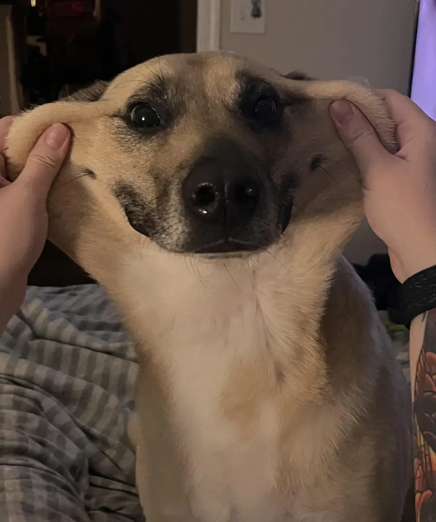 happy pictures