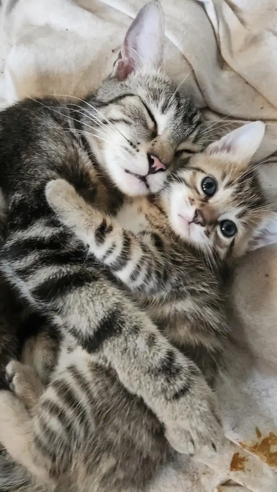 happy pictures